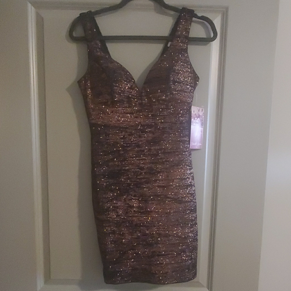 Black and bronze glitter dress
